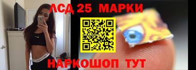 шишки Лесосибирск