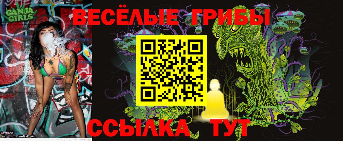 Галлюциногенные грибы Cubensis  Вход с VPN  Златоуст 
