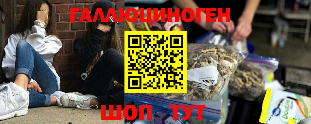 Псилоцибиновые грибы Cubensis Златоуст